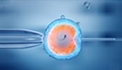 Fertility Therapies 1