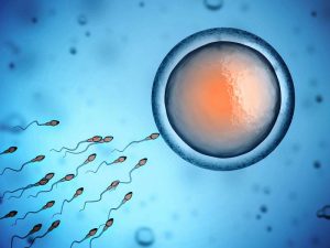 Popular Misconceptions About Infertility 1