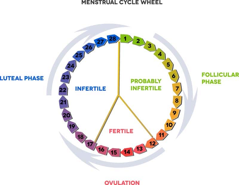 Ovulation Tracking Chart Printable