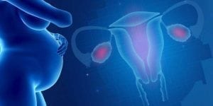 Can Uterus Transplants Help Overcome Infertility 1