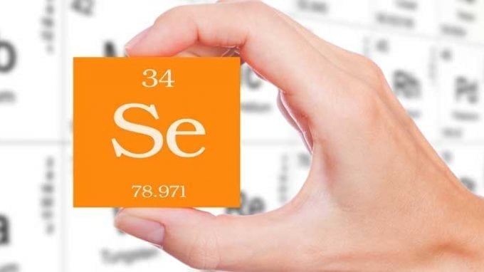 The Role of Selenium in Fertility