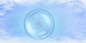 Egg Freezing: Fertility without an Expiration Date? 3