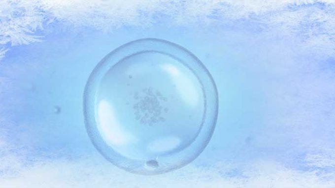 Egg Freezing: Fertility without an Expiration Date?