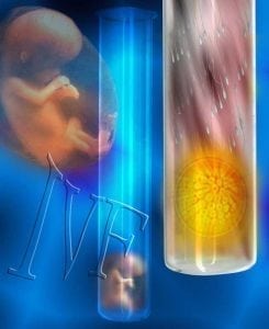 Genetic Pattern Gives Predictors of IVF Failure or Success