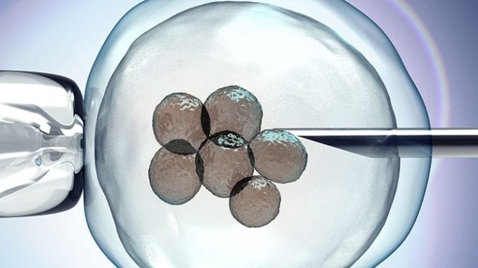 EmbryoGlue Increases the Chances of Pregnancy in IVF