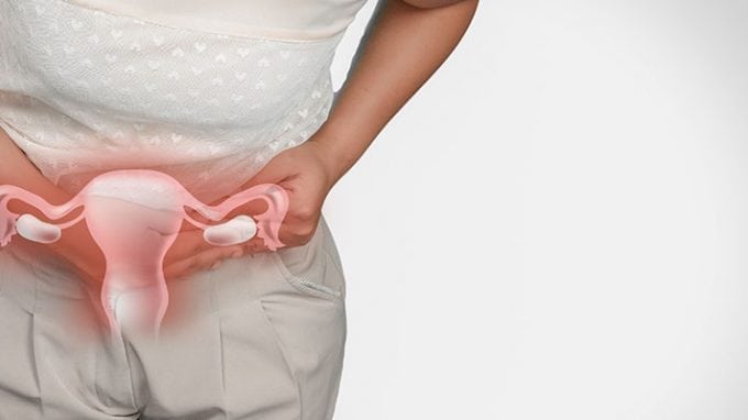 Uterine Fibroids and Their Role on Infertility