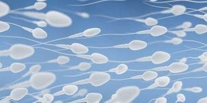 Sperm Analysis Could Cut Infertility Rates