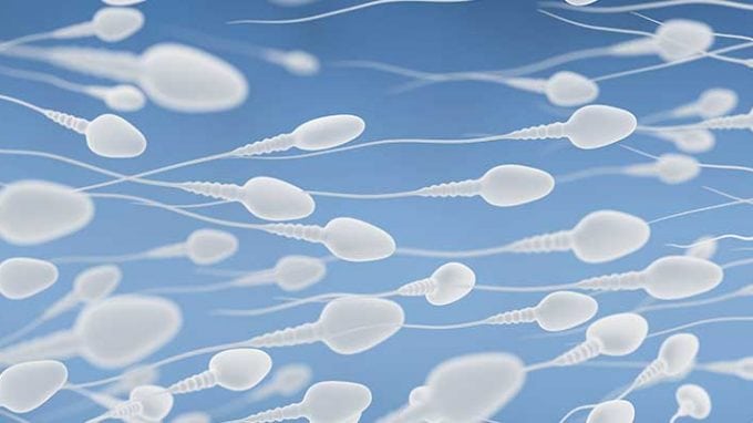 Sperm Analysis Could Cut Infertility Rates