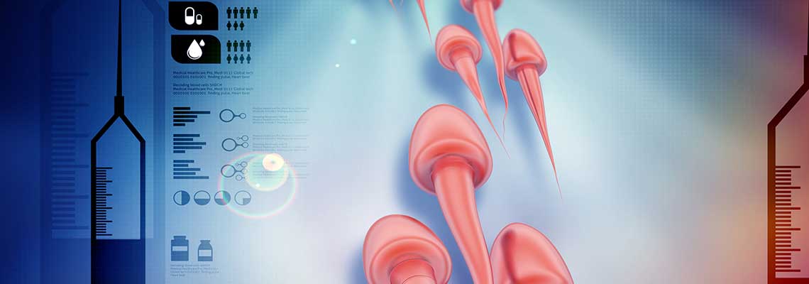 The Influence of Sperm on Artificial Insemination: Frontrunners Have ...