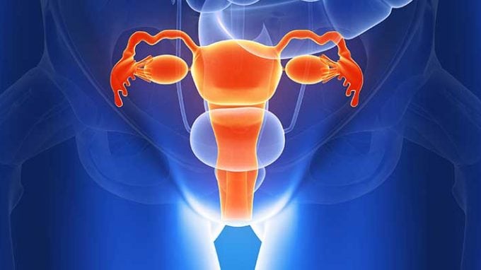 Process of Fallopian Tube Flush for Increasing Women’s Fertility 