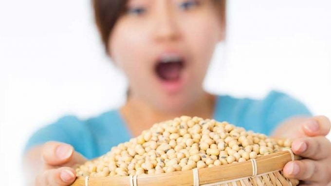 Soy and Fertility: The Controversy