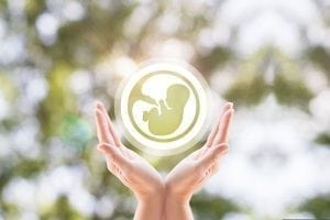 Fertility MOT Increasing in Popularity 1