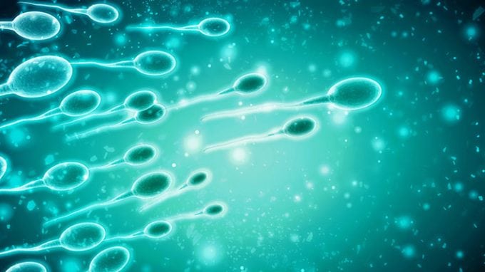 Male infertility: What influence does iodine intake have?