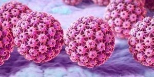 The Impact HPV Plays on Your Fertility  1