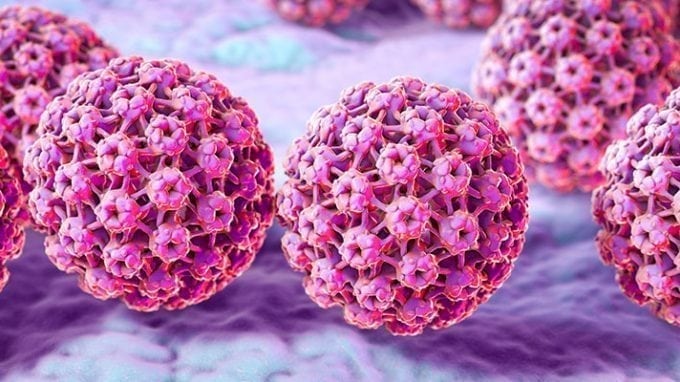 The Impact HPV Plays on Your Fertility 