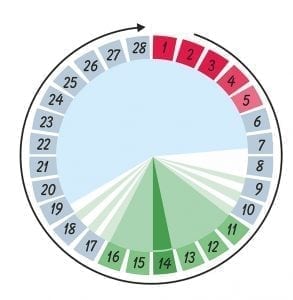 The Real Odds of Getting Pregnant 