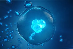 What to Know About Embryo Donation 2