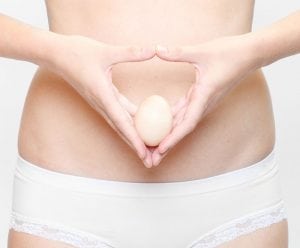 Improving Egg Health: A 90-Day Process 1