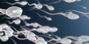 How to Naturally Boost Sperm Motility 2