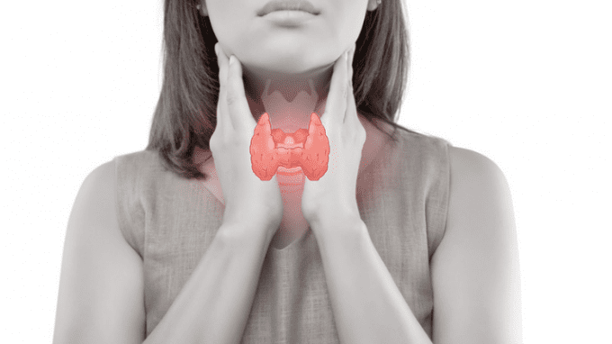 The Impact of Hyperthyroidism on Fertility