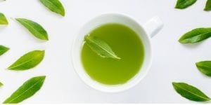 How Green Tea Catechins Impact Infertility 1