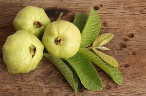 How Guava Fruits and Leaves Improve Female Fertility