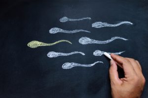 How Doctors Calculate Your Fertility