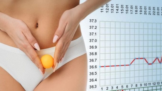 Understanding Ovulation Induction