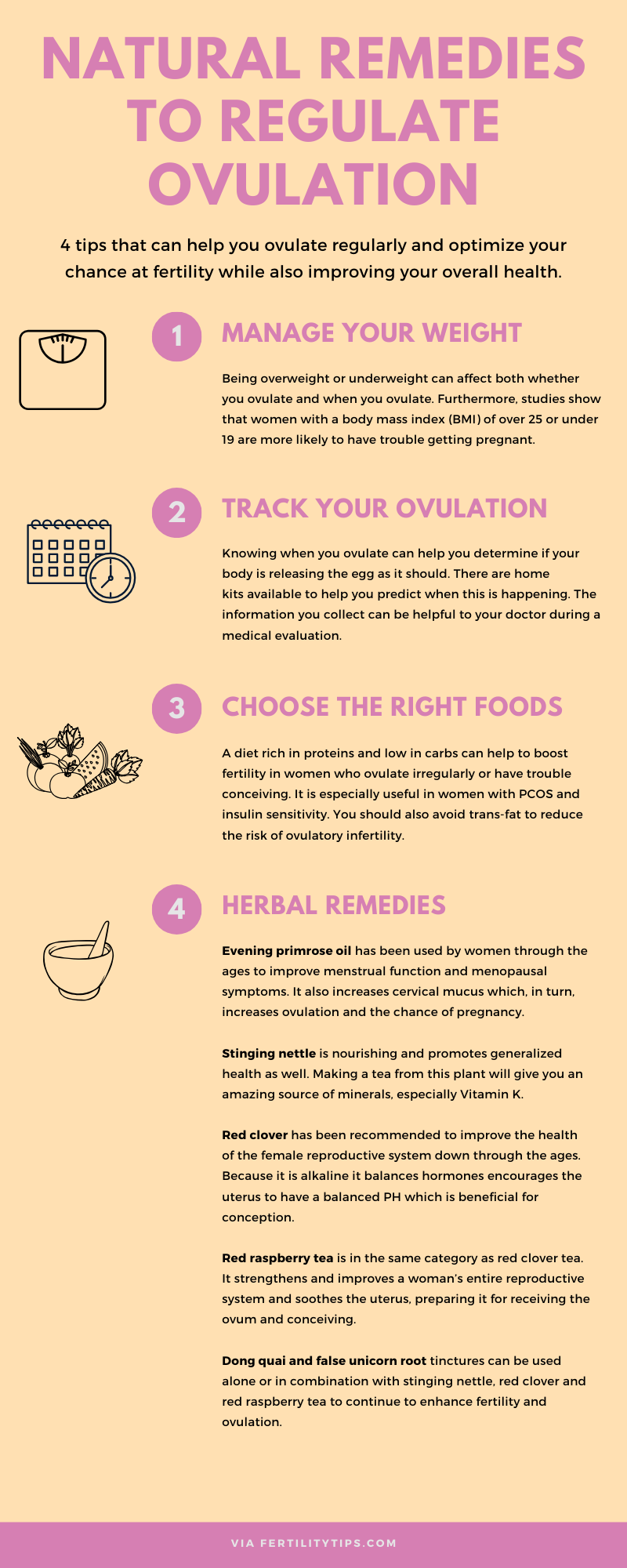 Can You Have Fertile Cervical Mucus But Not Ovulate?