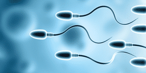Exposure to Heavy Metals May Damage Sperm Health