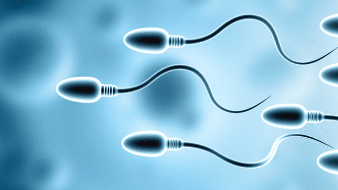 Exposure to Heavy Metals May Damage Sperm Health