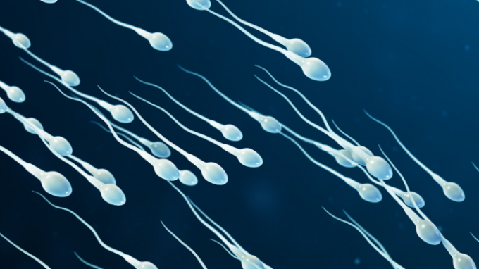 A 30-Day Guide for Improving Sperm Health