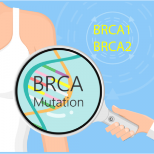 BRCA Mutations and Female Fertility