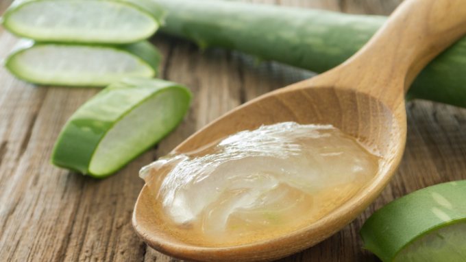 Relieving PCOS Symptoms With Aloe Vera