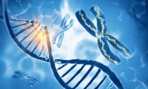 Genetic Discovery May Lead to Safer Forms of Treatment for Endometriosis