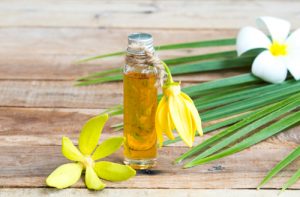 Treating PCOS with Essential Oils 1