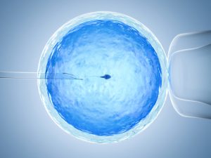 IVF vs. IUI: Which One Is Best for You?