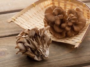 Maitake Mushroom Offers New Hope for PCOS Patients 1