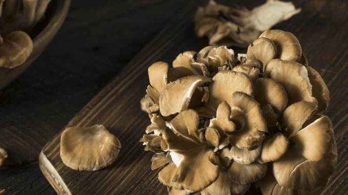 Maitake Mushroom Offers New Hope for PCOS Patients