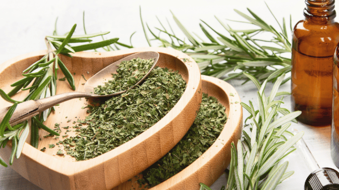 Using Rosemary for Improving Female Fertility