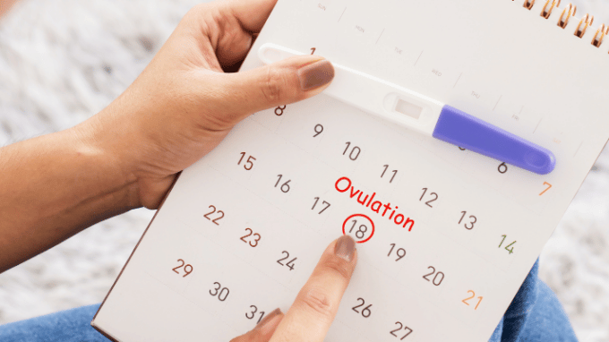 Debunking Common Ovulation Myths