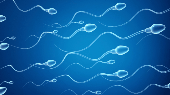 Lifestyle Habits that Contribute to Low Sperm Count