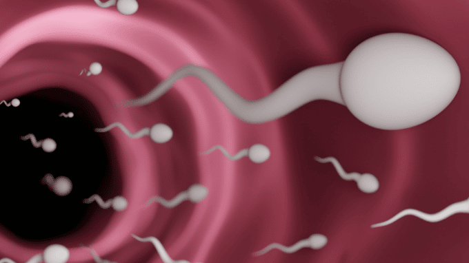 Sperm Counts May Be Declining Globally, Study Finds