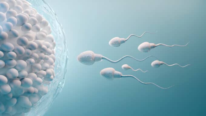 How Your BMI Affects Sperm Quality