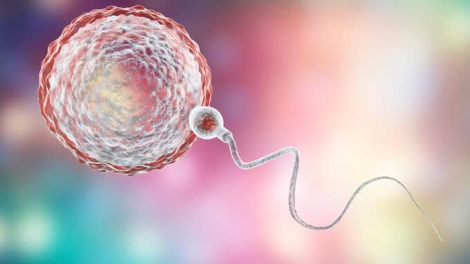 How Sperm Can Prevent Successful Fertilization
