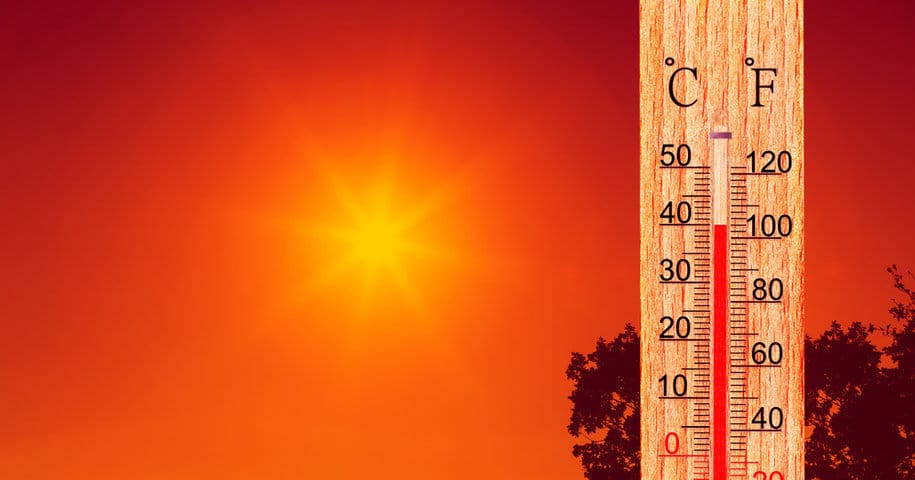 Why Heat Stress Damages Sperm