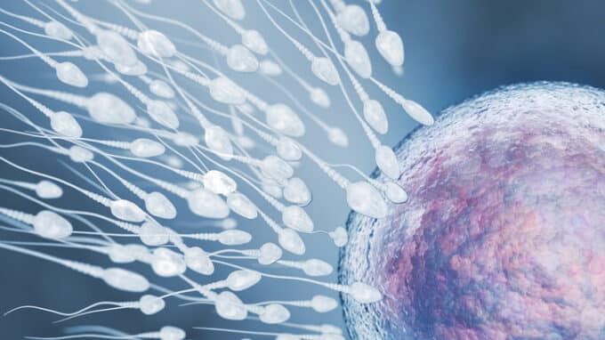 The Hidden Evolution That Makes Men's Sperm More Dangerous With Age