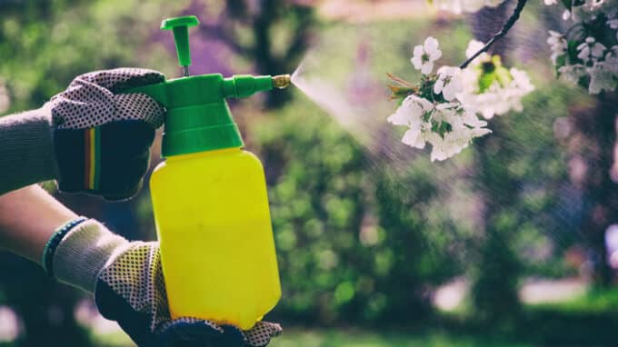 Common Pesticides Can Cause Testicular Damage and Reduce Sperm Count