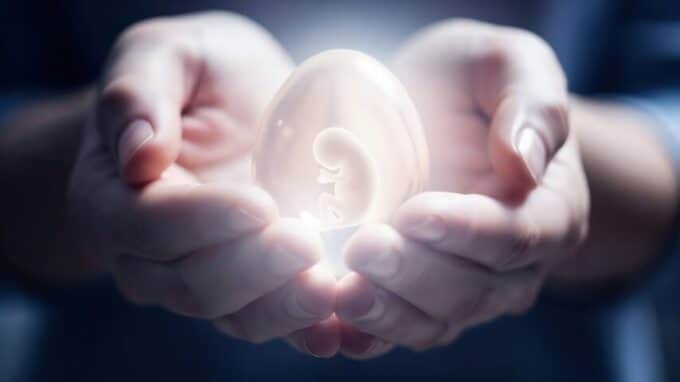 Artificial Womb (Ectogenesis): Will Babies Be Able to Grow Outside the Human Body in the Future?