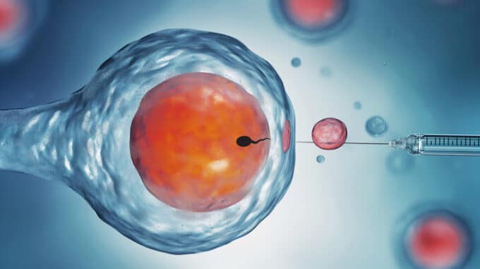 IVF Preparation: A Step-by-Step Guide for Women Who Want to Have Children